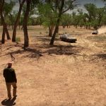 El Camino, Mike Ehrmantraut