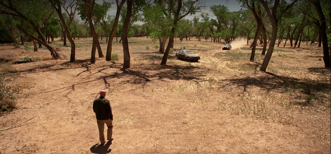 El Camino, Mike Ehrmantraut