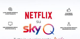 sky netflix sky q