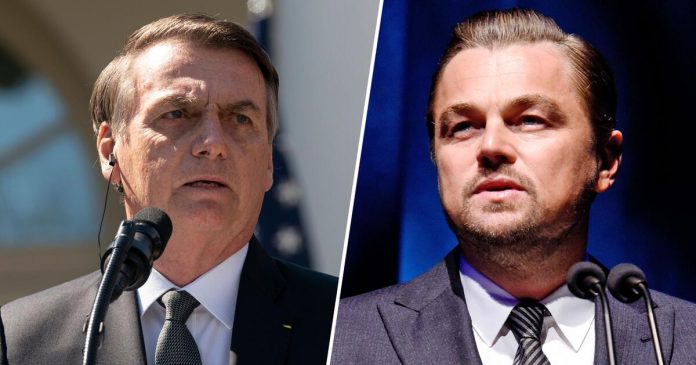 Leonardo DiCaprio bolsonaro risposta