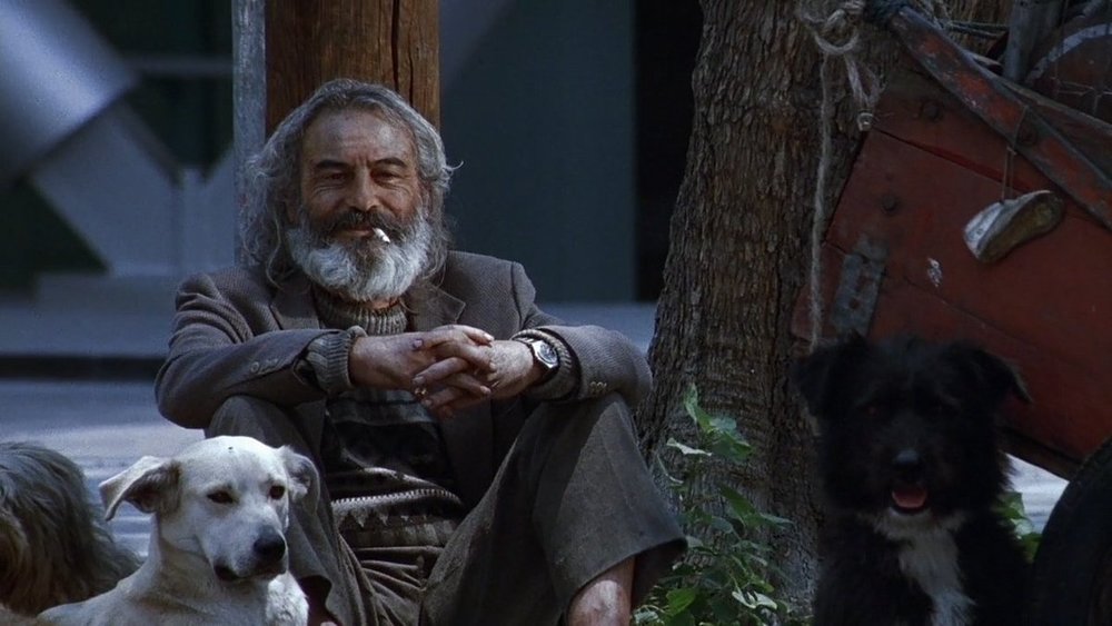 Amores Perros