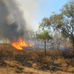 Modella raccoglie soldi per Incendi in Australia
