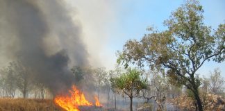 Modella raccoglie soldi per Incendi in Australia