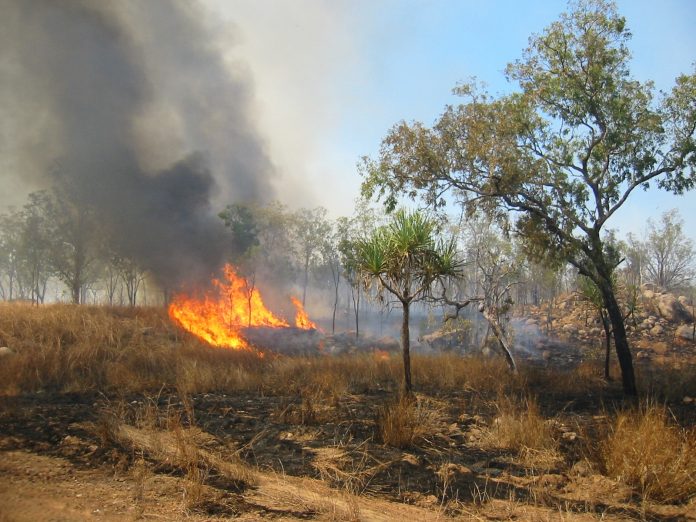 Modella raccoglie soldi per Incendi in Australia