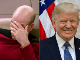 trump, logo star trek