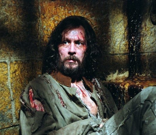 Harry potter Sirius Black, gary oldman