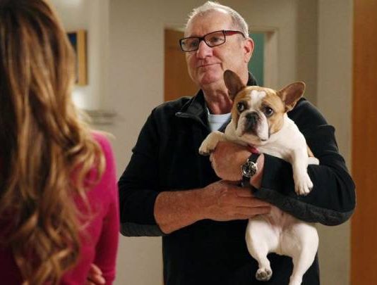 modern-family-stella
