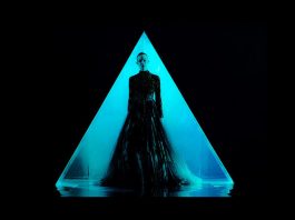 Regia cinematografica: The Neon Demon