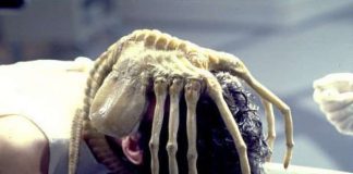 alien facehugger