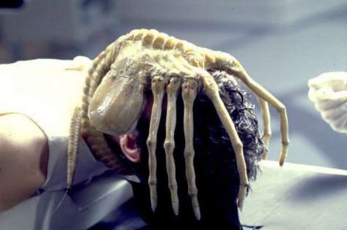 alien facehugger