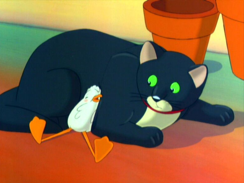 la gabbianella e il gatto