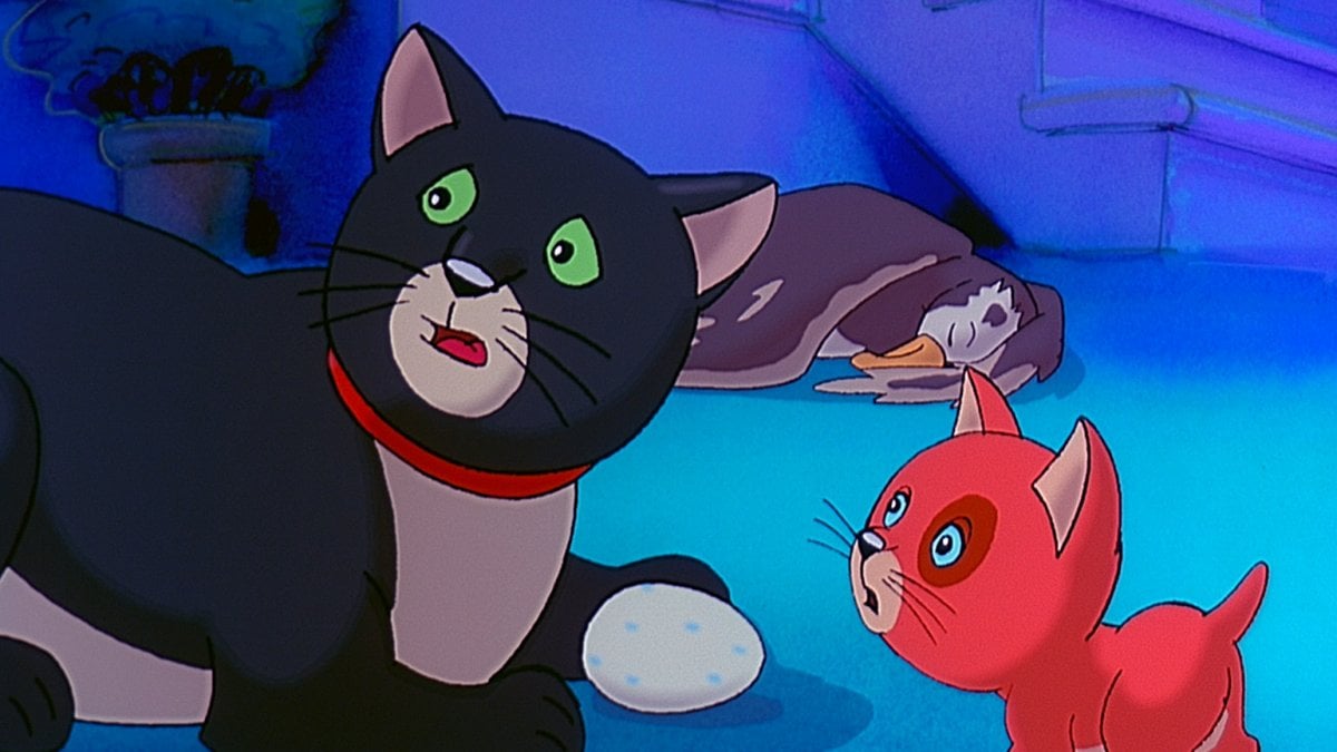 la gabbianella e il gatto