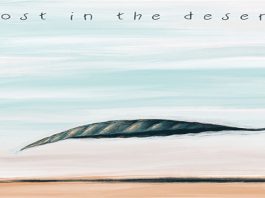 Lost in the Desert