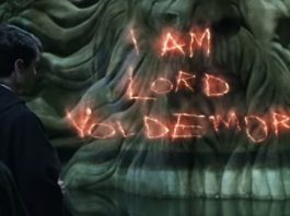Voldermort, Harry Potter
