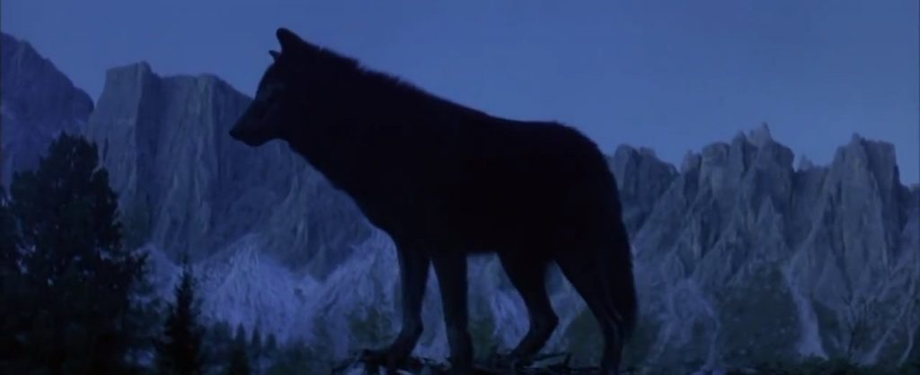Ladyhawke
