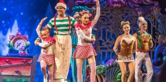 Cirque Du Soleil