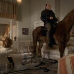 Soprano-5×11-1