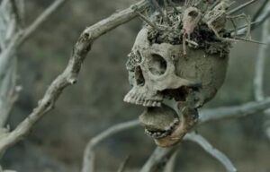 bone tomahawk