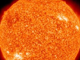 Sole