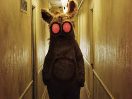 Into The Dark Pooka