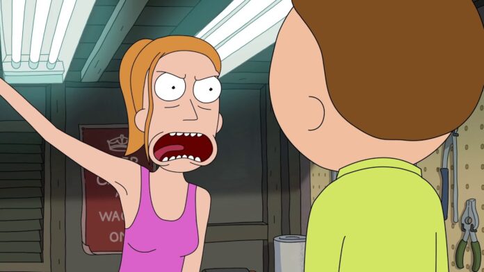 rick & morty, summer