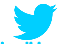 twitter hacker logo