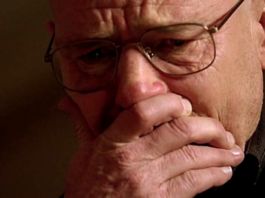 breaking bad, bryan cranston, walter white