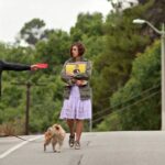 cercasi amore per la fine del mondo migliori film Steve Carel