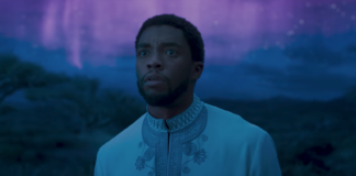 chadwick boseman, balck panther