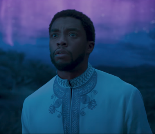chadwick boseman, balck panther