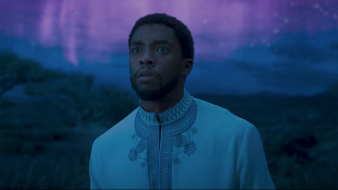 chadwick boseman, balck panther