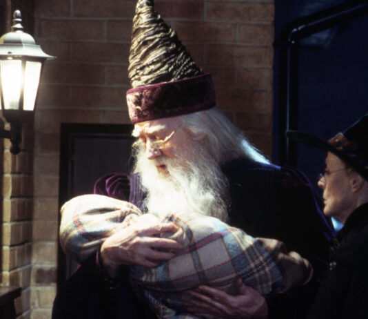 harry potter e la pietra filosofale