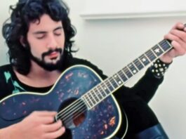 Cat Stevens