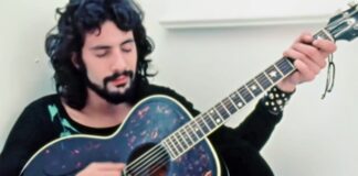 Cat Stevens