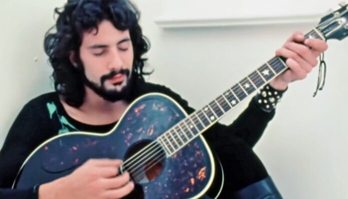 Cat Stevens