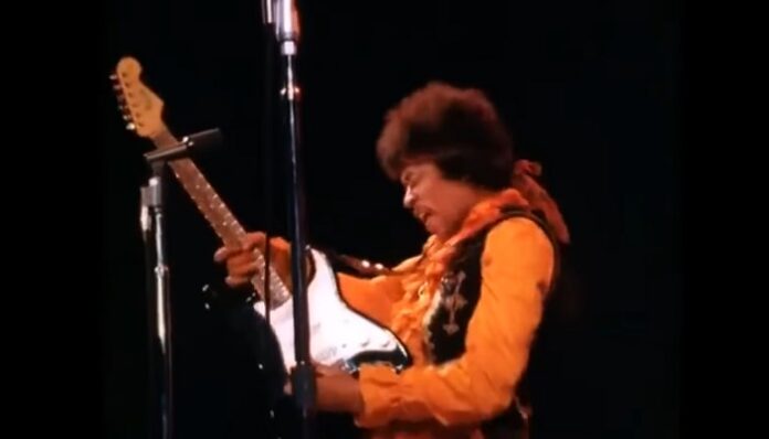 Fender