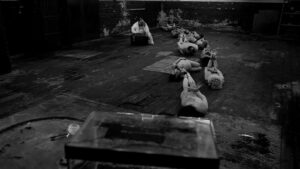 the human centipede 2