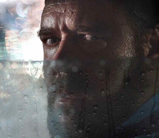 giorno sbagliato, box office