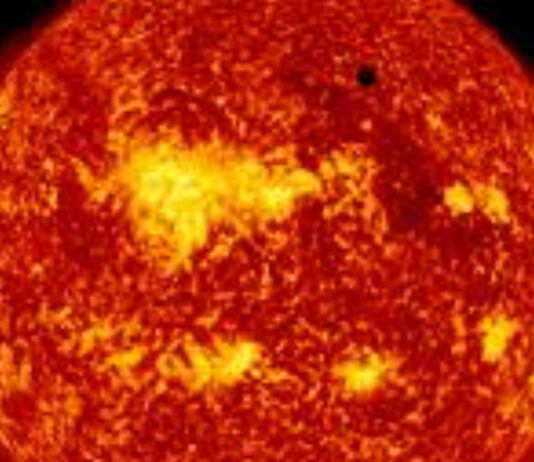 venere scoperta forme di vita