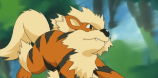 Arcanine, pokèmon