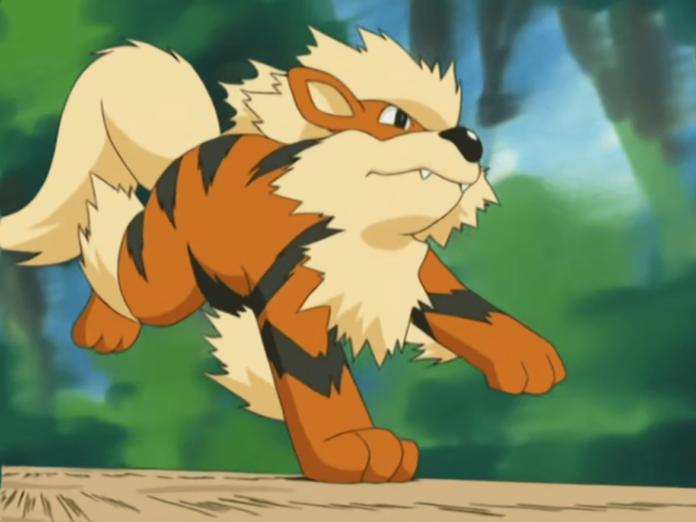 Arcanine, pokèmon