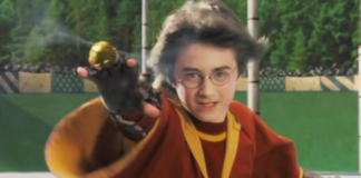 harry potter quidditch