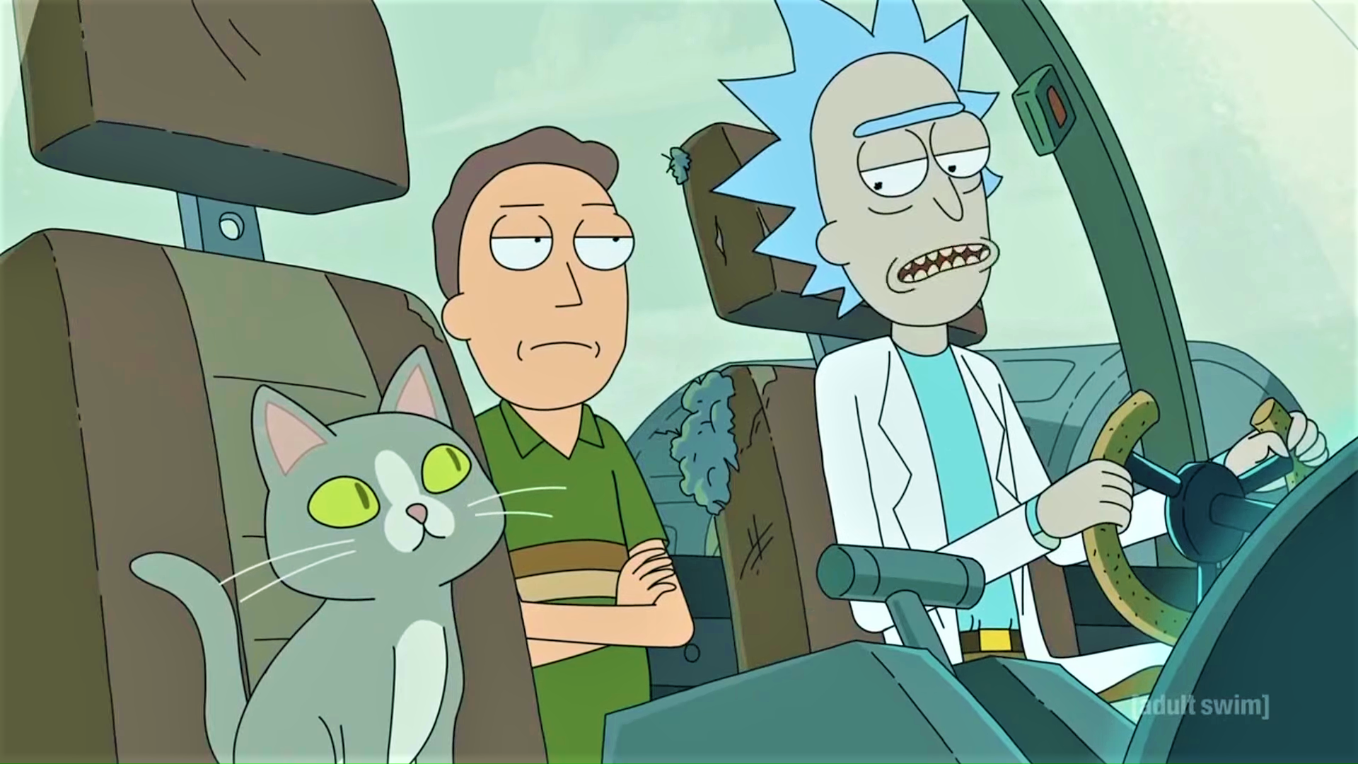 Rick e Morty, svelato il vero significato del gatto parlante [VIDEO]