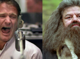 harry potter, robin williams, hagrid