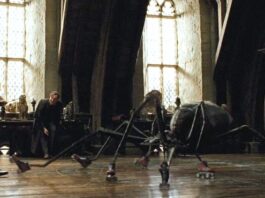 harry potter, ron, ragni