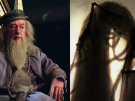 harry potter, silente, morte