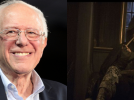 bernie sanders, aragorn