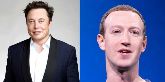 elon musk, mark zuckerberg