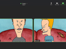 Beavis