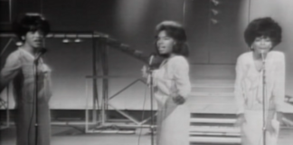 Mary WIlson